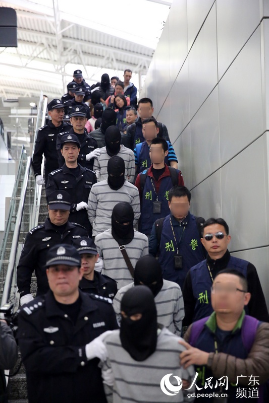 14名跨国电信诈骗案嫌犯被押解回广州