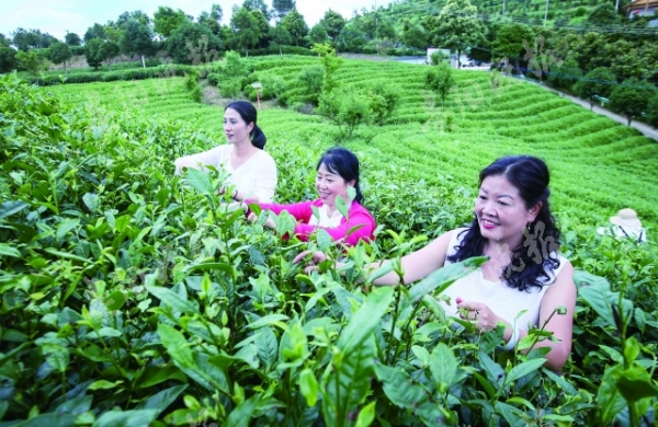 （中首）“爽爽贵阳”越来越美 “消费天堂”提速升级