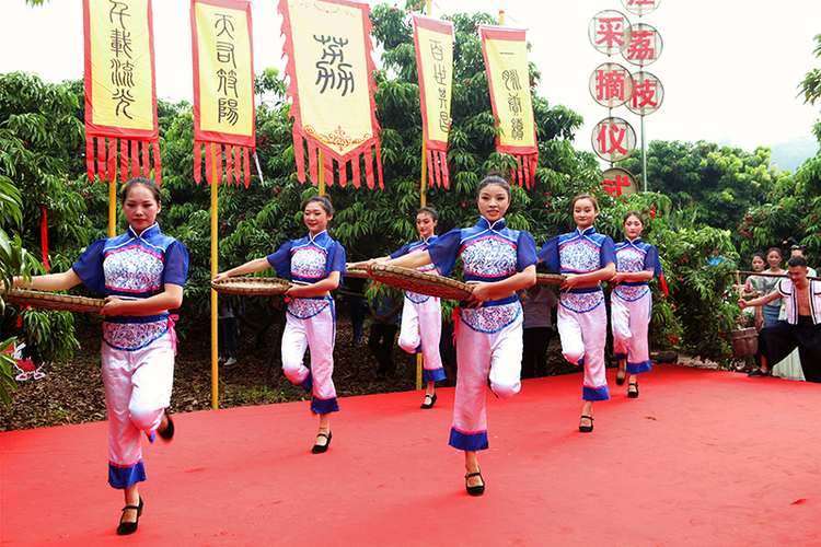 泸州：相约千年荔城 2021年合江荔枝正式开摘_fororder_采摘舞蹈（摄影：马俊杰）