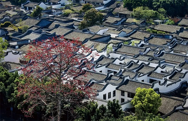 遇见世遗 | 古建筑的环境经营