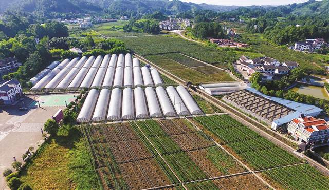 【区县联动】【南川】南川：让乡村美起来、农民富起来