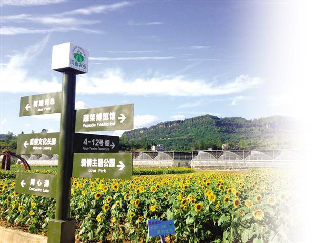 【渝情渝景】平湖万州 秋色醉人不思归