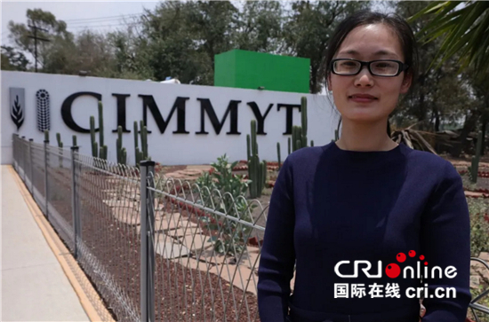 在玉米“故乡”从事玉米研究的中国青年学者任姣姣_fororder___172.100.100.3_temp_16_1_16_1_1_2e77bf0d-f580-4bcb-8f3c-3c9a81cc2fcf