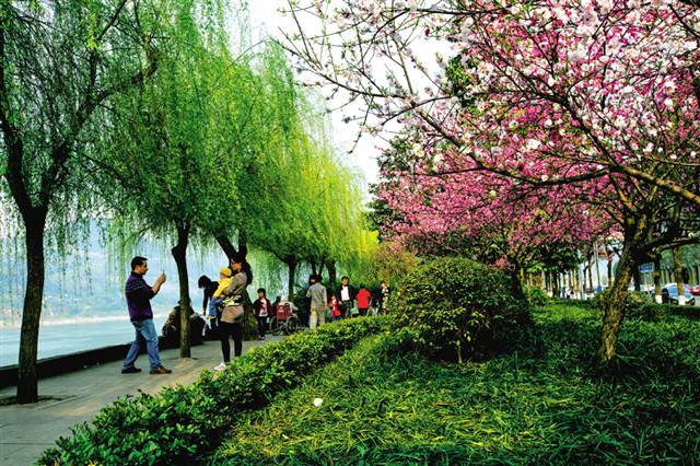 【环保视点 自然生态图文摘要】江津 美丽山水的城市气质逐步显现