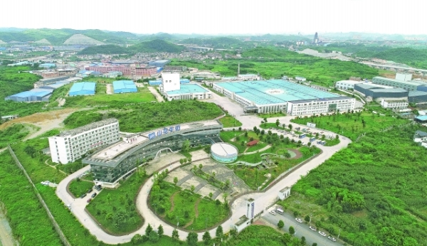 （中首）贵阳：“五子登科” 产业兴