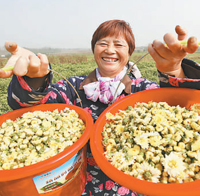 撸起袖子加油干