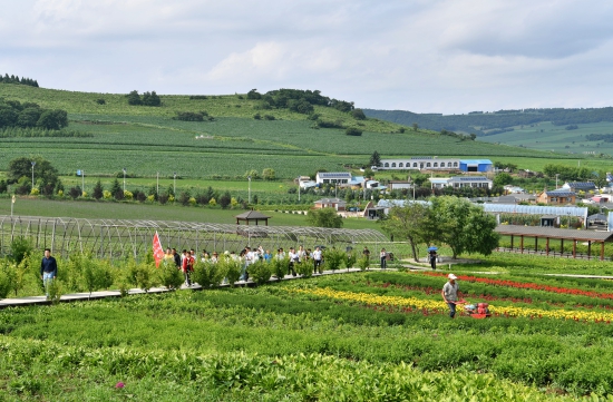 砥砺奋进的敦化丨走进敦化雁鸣湖镇小山村