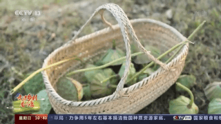走进乡村看小康丨荷花做成的美食你吃过吗？记者带你体验安徽芜湖菡萏宴