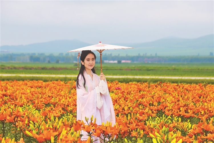 醉美彩云岭 花海遇见你