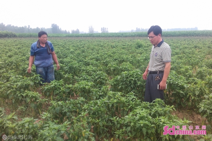 菏泽市水文中心第一书记刘道兴：不是驻村，而是村子住进了我心里