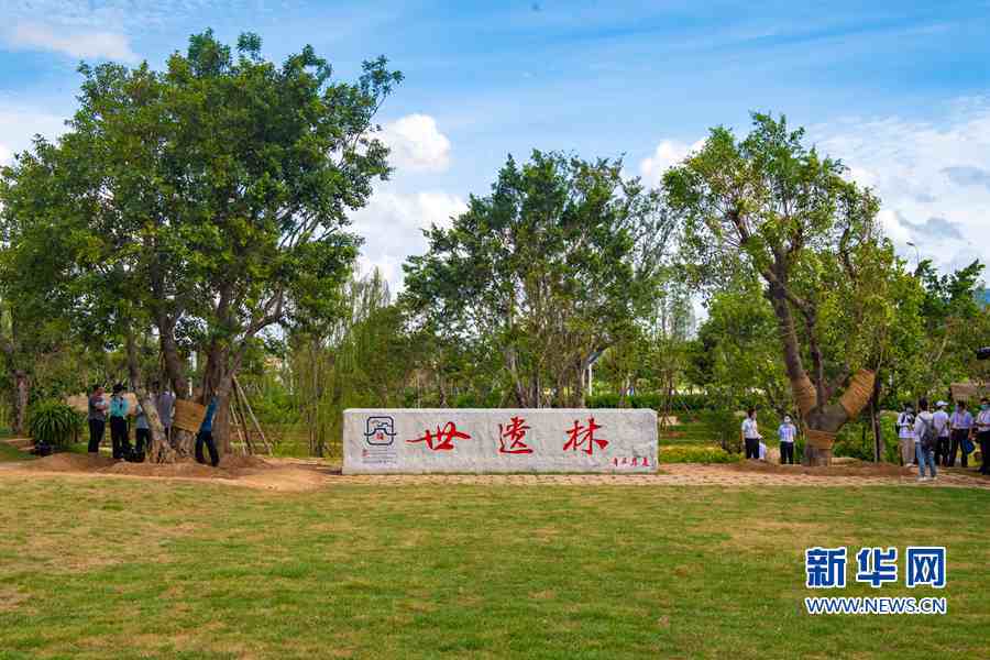 中外嘉宾共植“世遗林”为福州古厝增色添彩