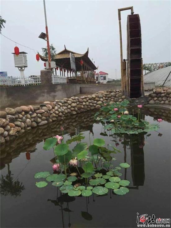 图片默认标题_fororder_11