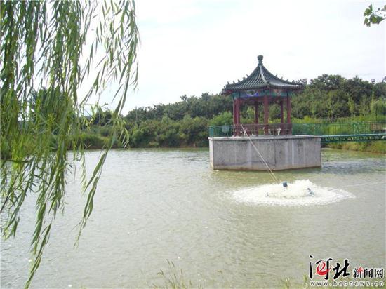 图片默认标题_fororder_25.JPG
