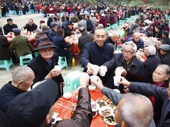 情暖重阳节