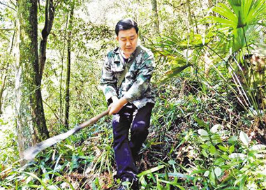 图片默认标题