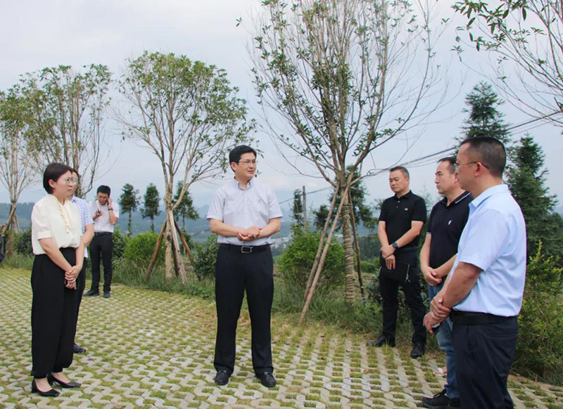 雅安市雨城区委副书记陈建伟调研乡村振兴先进区创建工作_fororder_调研现场-供图-雨城区委宣传部