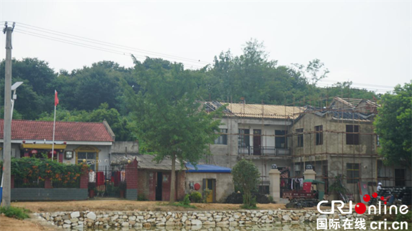 湖北大悟宣化店镇河西村：打造“一红一绿” 走乡村振兴“突围”之路_fororder_图片6