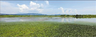 湖南岳阳市立法保护东洞庭湖 一泓清水 细管长护