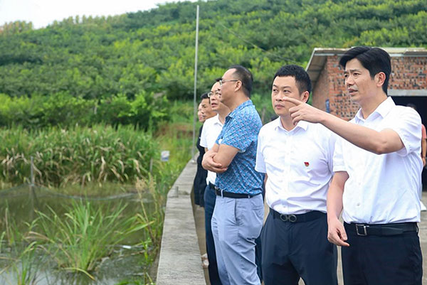 自贡自流井：全力以赴投入生态环保问题整改攻坚工作_fororder_1调研现场