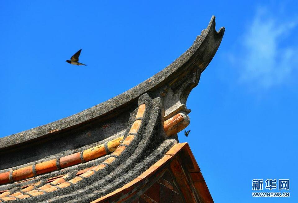 镜遇福建｜福建泉州：千年古城的“多面”生活