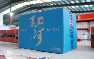 黑龙江黑河：“寒地”孕育“热产业”_fororder_IMG_0588.JPG