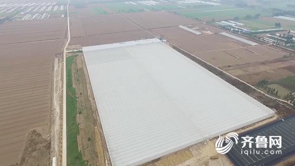 【科技-文字列表】【走遍山东-德州】德州首个现代化智慧农业大棚建成投用