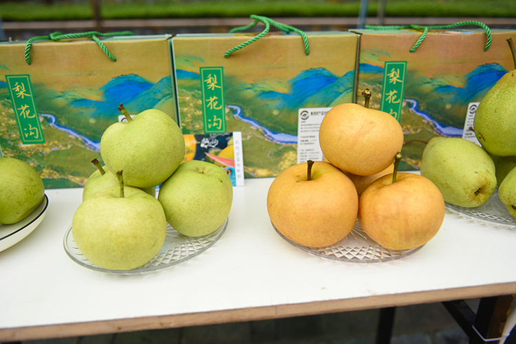 成都金堂县：“百村（社区）书记直播”助力乡村振兴_fororder_金堂县特色农产品-供图-金堂县委宣传部