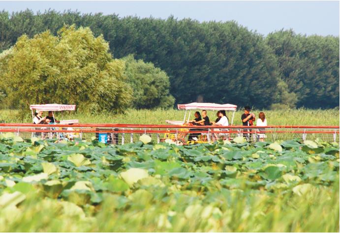 辽河湿地赏荷观鸟_fororder_微信截图_20210817093817