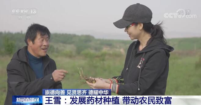 【崇德向善 见贤思齐 德耀中华】王雪：发展药材种植 带动农民致富