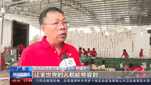 广东：让市场唱主角 荔枝丰产又丰收