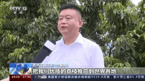 广东：让市场唱主角 荔枝丰产又丰收