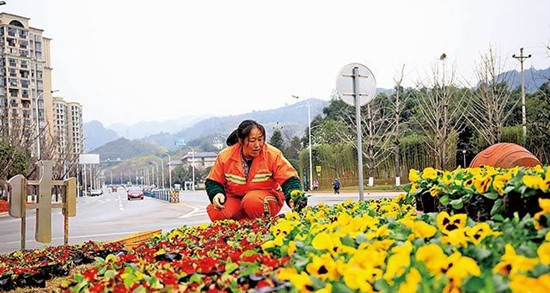 图片默认标题_fororder_A
