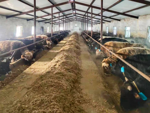 中国电信与万向区块链及合作伙伴成立 “惠养牛”区块链产业联盟_fororder_19