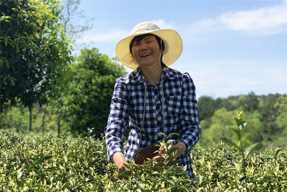 【壮丽70年·奋斗新时代】重庆涪陵蔺市镇的乡村振兴小妙招——品牌为王_fororder_CqgNOly2l3eAIUFTAAAAAAAAAAA998.950x712