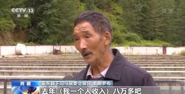 重走天路看变迁丨雪域高原的新型特色产业助力脱贫群众增收
