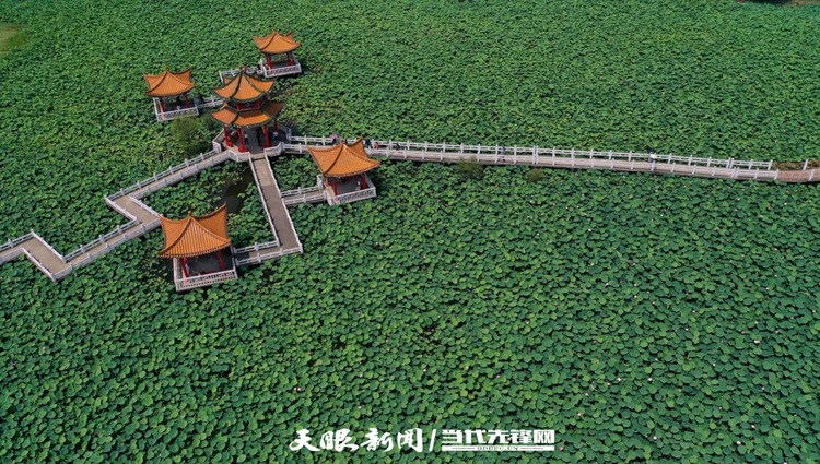 （中首）畅游在多彩山地间 贵州推动乡村旅游与休闲农业深度融合