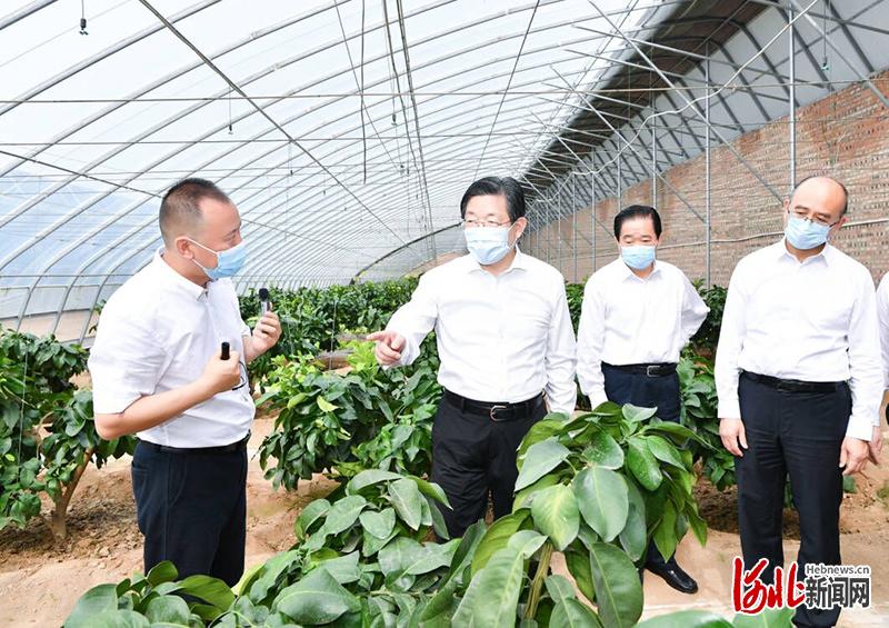 河北省推进乡村全面振兴工作会议暨农业结构调整工作现场会在石家庄市正定县召开