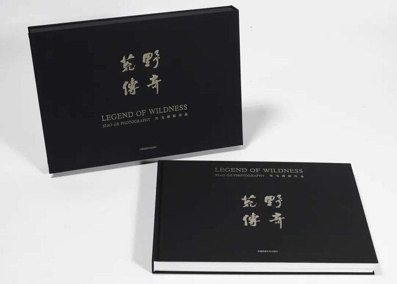 《荒野传奇》