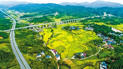 新农村 秋色美