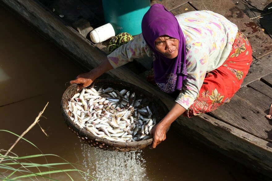 Asia Album: Life Aong Mekong River in Cambodia