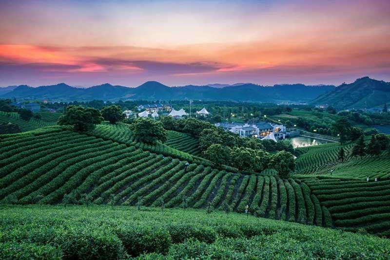 百年瞬间丨习近平首次提出“绿水青山就是金山银山”