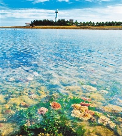 “极南”灯楼角 海流交汇处