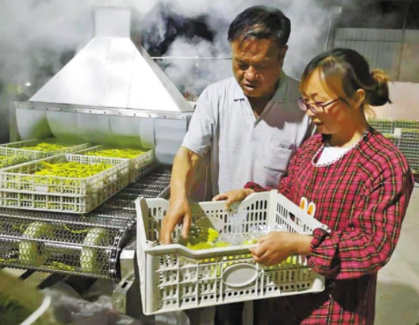 （转载）大荔黄花分外香_fororder_QQ图片20210817134219