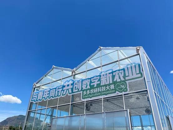 拼多多公开的隐秘：“重投农业”_fororder_d