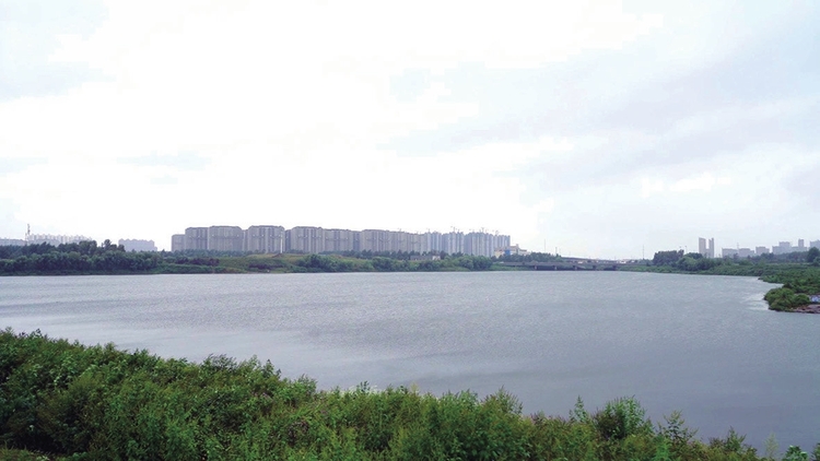 长春宽城：开启河畅水清岸绿景美治水新篇章