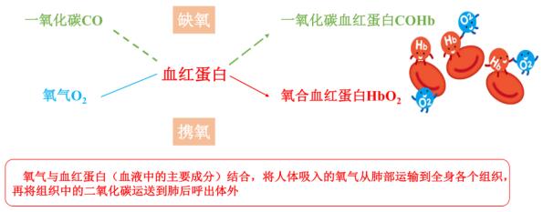 手术前为什么一定要戒烟？这些麻醉常识要了解