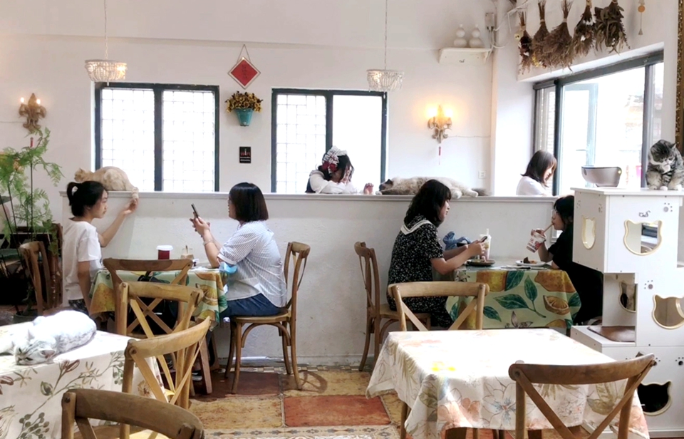 【原创 客户】    【房产资讯】济南宽厚里缘何成为商机无限的流量IP 听听这里的店主怎么说_fororder_2222