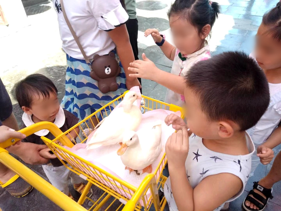 【原创 客户】    【房产资讯】济南宽厚里缘何成为商机无限的流量IP 听听这里的店主怎么说_fororder_微信图片_20210818144731