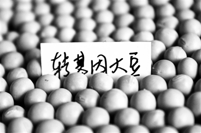 图片默认标题
