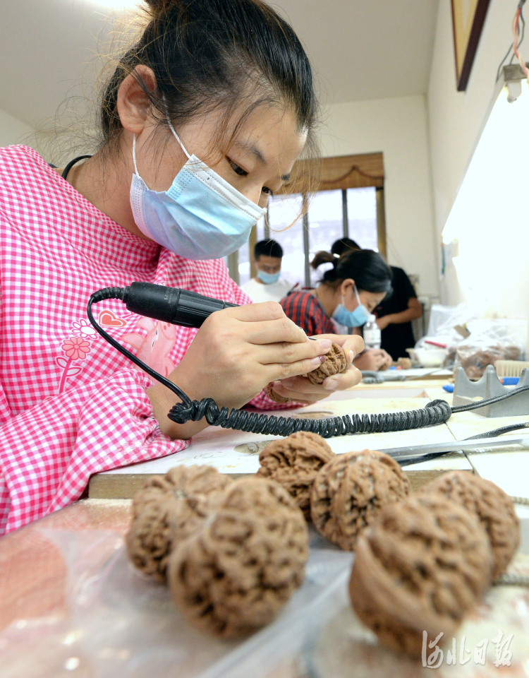 河北涞水：麻核桃产业助力乡村振兴